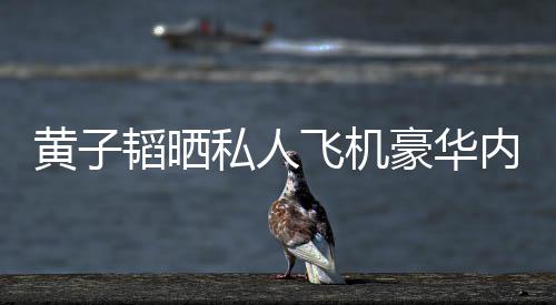 内饰韬晒飞机 粉曝光普维私人丝科黄子豪华护要万